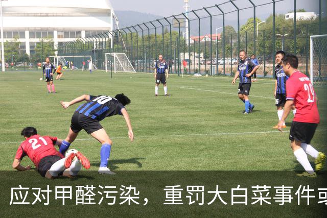 应对甲醛污染，重罚大白菜事件或需上千年监禁